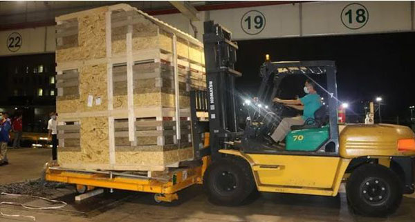 Chiều tối 27/7, một chuyên cơ riêng chở 750 con heo giống cụ kỵ (GGP) từ Đan Mạch đã về đến sân bay Tân Sơn Nhất, TP.HCM.