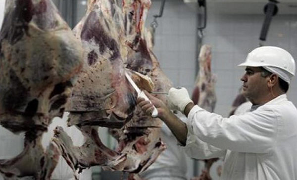 Nga cấm nhập khẩu thịt lợn và bò của Brazil từ 1/12/2017. Ảnh minh họa: Reuters