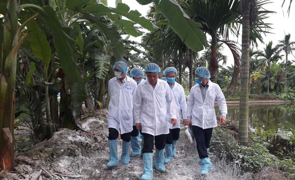 Đoàn công tác của Bộ NNPTNT do Bộ trưởng Nguyễn Xuân Cường dẫn đầu kiểm tra công tác phòng, chống dịch tả lợn châu Phi tại Hải Phòng ngày 2/3/2019.