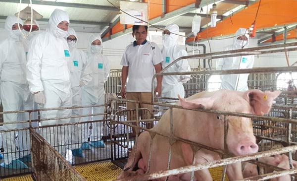 Bộ trưởng Nguyễn Xuân Cường kiểm tra các mô hình sản xuất vacxin và phòng, chống dịch tả lợn Châu Phi. Ảnh: NH.