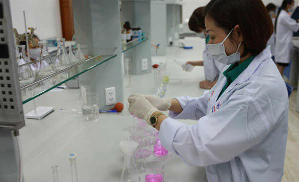 Các nhóm nghiên cứu của Học viện Nông nghiệp Việt Nam và các doanh nghiệp đang nỗ lực tìm ra loại vaccine phòng chống bệnh dịch tả lợn châu Phi hiệu quả nhất. Ảnh: I.T
