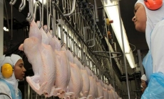 Trung Quốc dỡ bỏ lệnh cấm nhập khẩu thịt của Brazil
