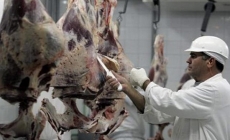 Nga cấm nhập khẩu thịt lợn và bò của Brazil từ 1/12/2017