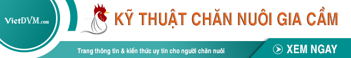 kỹ thuật nuôi gia cầm