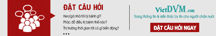 tư vấn kỹ thuật chăn nuôi