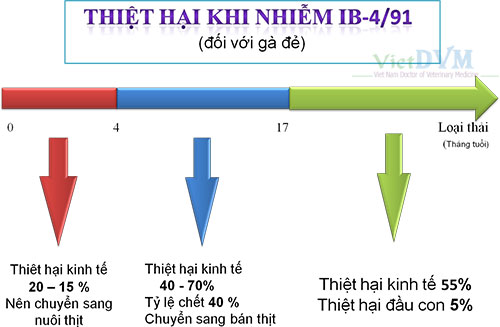 491-10