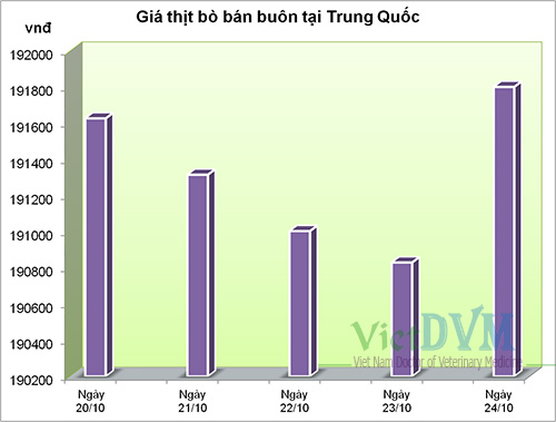 gia-thit-bo-TQ1