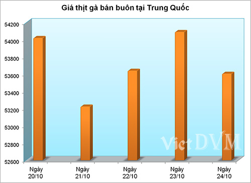 gia-thit-ga-TQ