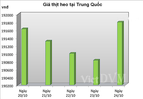 gia-thit-heo-TQ1