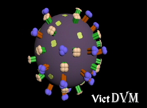 Be-ngoai-virus-cúm