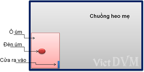 chuong-um-heo3