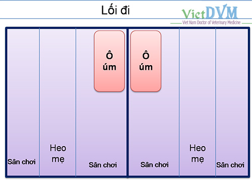 chuong-um-heo8