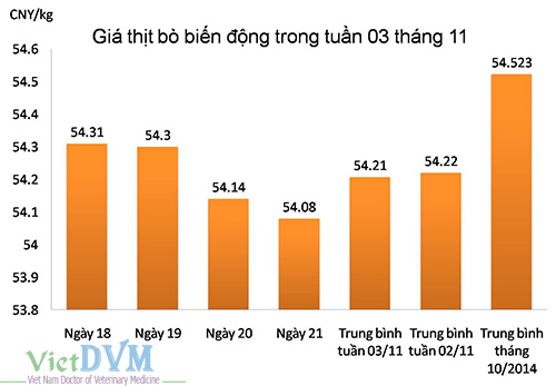 gia-thit-bo-tuan-03-11-14