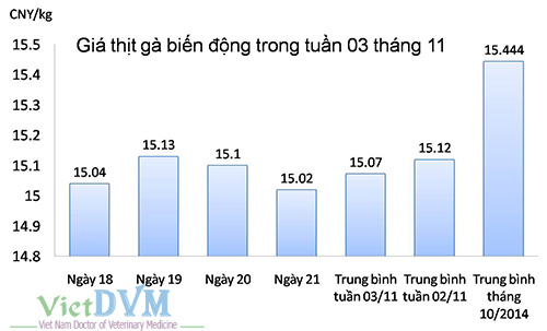 gia-thit-ga-tuan-03-11-14