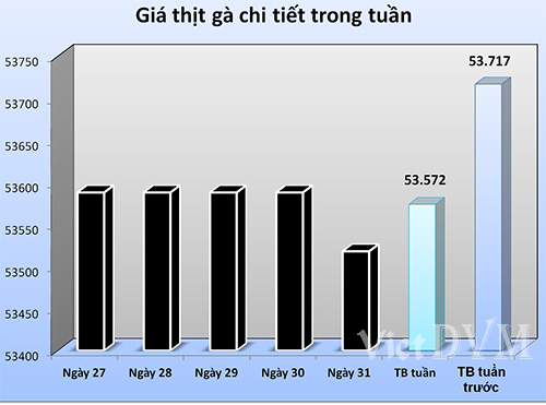 gia-tq-ga