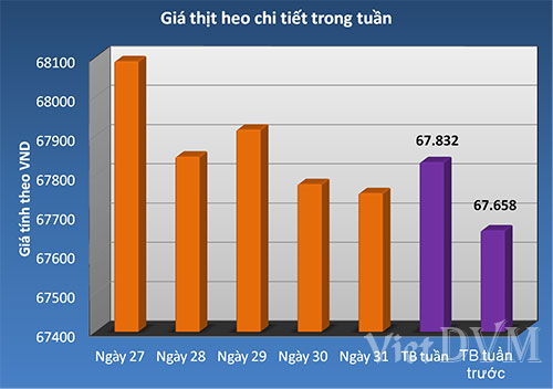 gia-tq-heo