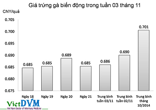 gia-trung-ga-tuan-03-11-14