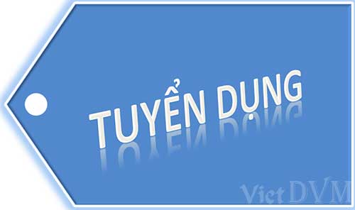 tuyen-dung-1