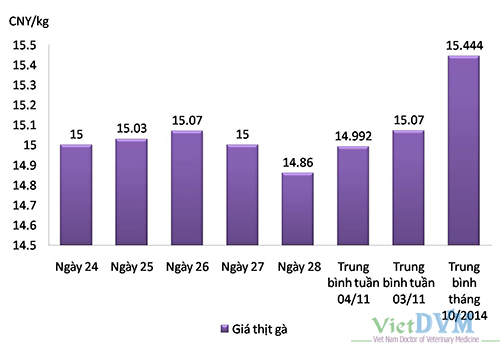 gia-thit-ga-tq-04-11-14