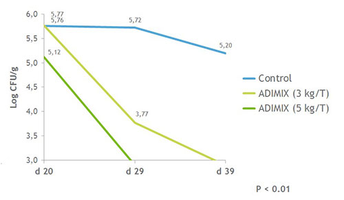 Campylobacter-1