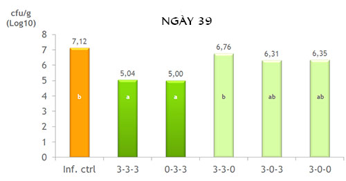 Campylobacter-2