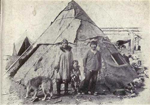 Lịch sử giống chó Alaskan Malamute