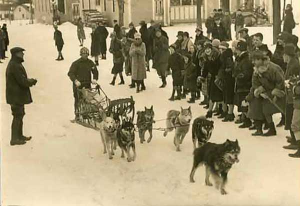 Hình ảnh về giống chó Husky trong lịch sử