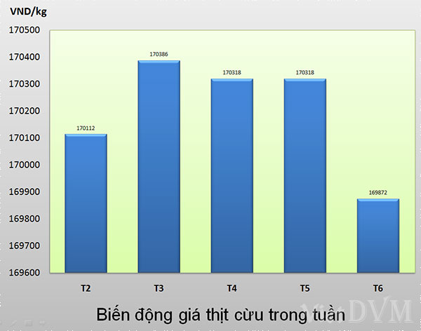 thit cuu tuan 20 2015