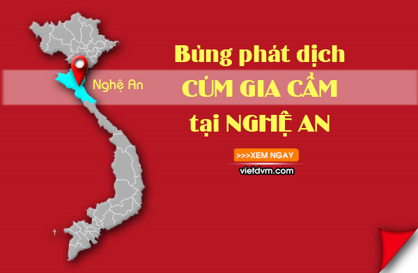 CUM GIA CAM NGHE AN