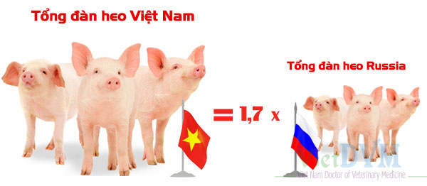 so sanh tong dan viet nam va Russia