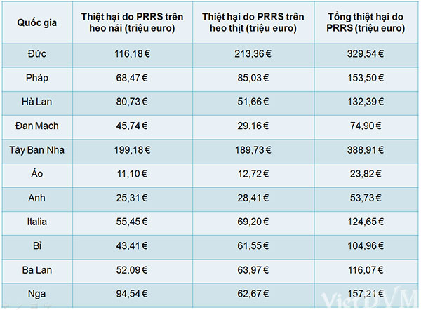 Thiệt hại do bệnh tai xanh(PRRS) gây ra cho heo nái và heo thịt