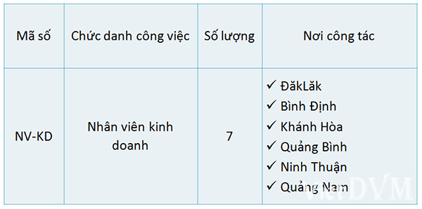 Công ty Khatoco tuyển dụng nhân viên kinh doanh