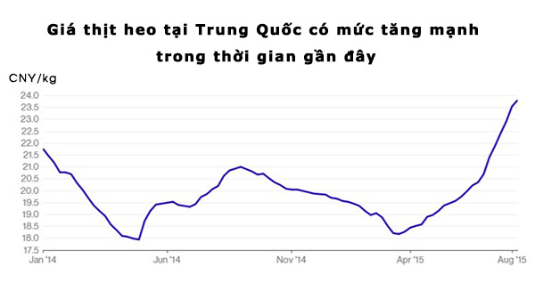 Biểu đồ biến động giá heo Trung Quốc 2 năm trở lại đây