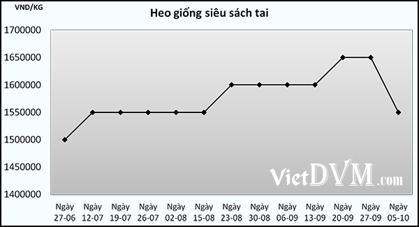 Biểu đồ cập nhật biến động giá heo siêu sách tai tại Vũ Quang - Hà Tĩnh