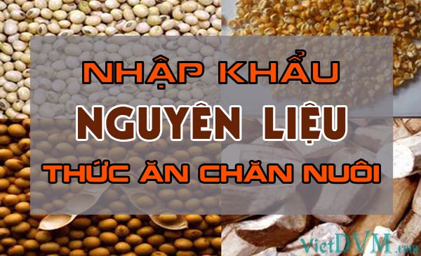 Nhập khẩu nguyên liệu thức ăn chăn nuôi