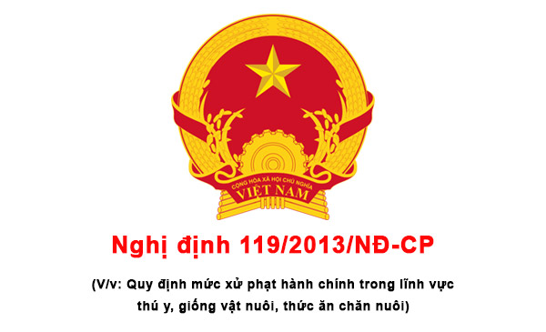 Nghị định 119/2013/NĐ-CP của Chính phủ