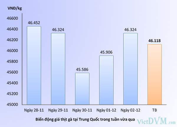 Giá gà mổ sẵn tại Trung Quốc trong tuần 49-2016