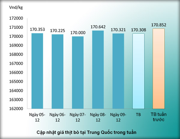 Giá thịt bò bán buôn tại Trung Quốc tuần 50-2016