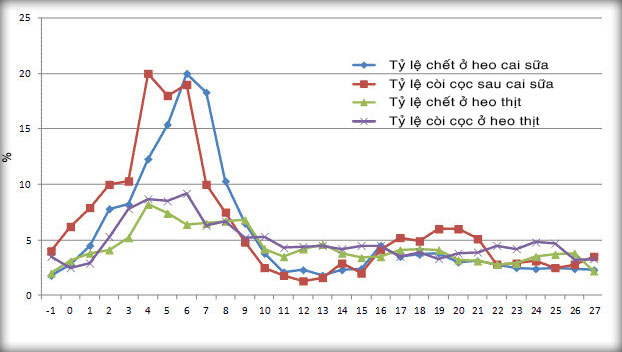 Biểu đồ 2: Số liệu trước và sau khi xảy ra dịch PRRS đối với tỷ lệ còi cọc