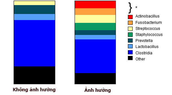 Hình 4: So sánh sự có mặt một cách khá đa dạng của các nhóm, chi vi khuẩn và lớp Clostridia giữa heo bệnh và heo khỏe mạnh