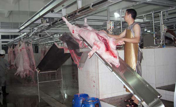 Doanh nghiệp Trung Quốc đặt vấn đề nhập khẩu thịt heo Việt Nam