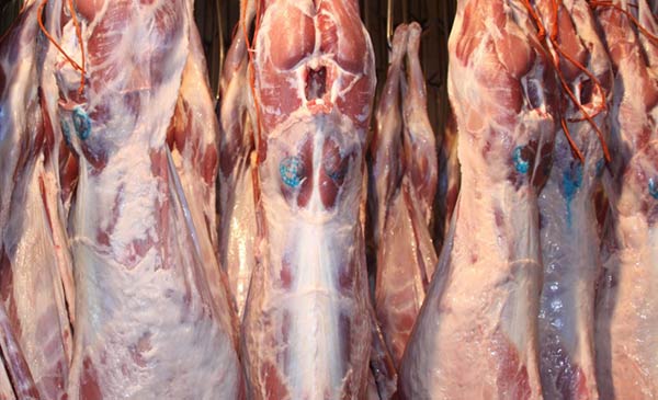 EU sẽ ngừng nhập khẩu thịt từ thị trường Brazil