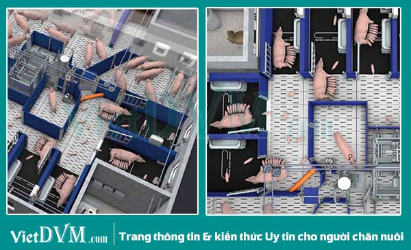 Góc nhìn trại từ trên xuống