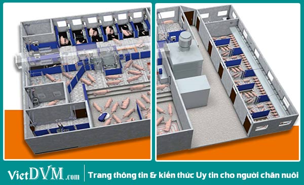 Góc nhìn trại từ trên xuống