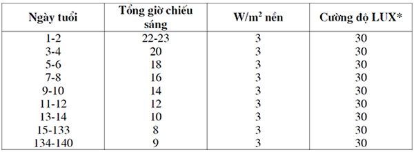 Chương trình chiếu sáng cho gà con và gà hậu bị (đối với gà đẻ hướng thịt).