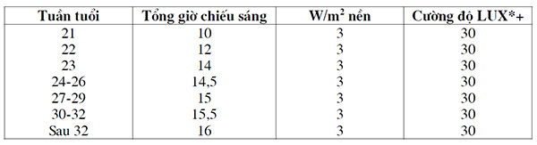 Chương trình chiếu sáng cho gà đẻ hướng thịt nuôi chuồng thông thoáng.