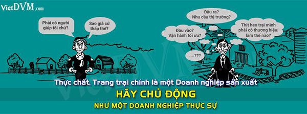 chan nuoi viet nam 2