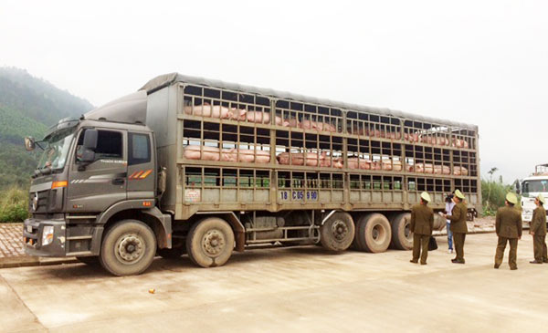 Tại khu vực biên giới các tỉnh Cao Bằng, Lạng Sơn, Quảng Ninh… heo được xuất bán sang Trung Quốc khá nhiều. Ảnh minh họa