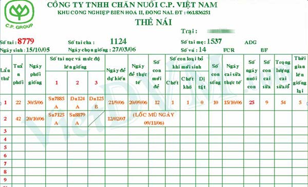 Thẻ heo nái thường dùng trong trại.