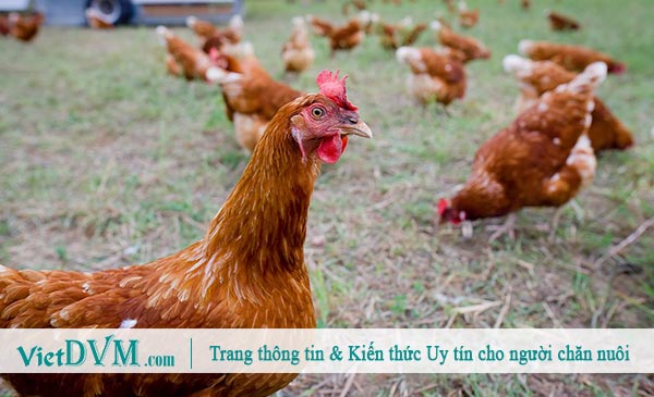 Những quan điểm trái chiều này chắc chắn sẽ gây nhiều tranh cãi trong hiện tại.